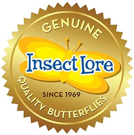 Insect Lore Butterfly Garden | Original 12" Habitat and Cup of Live Baby Caterpillars | Life Science & STEM Education Kit